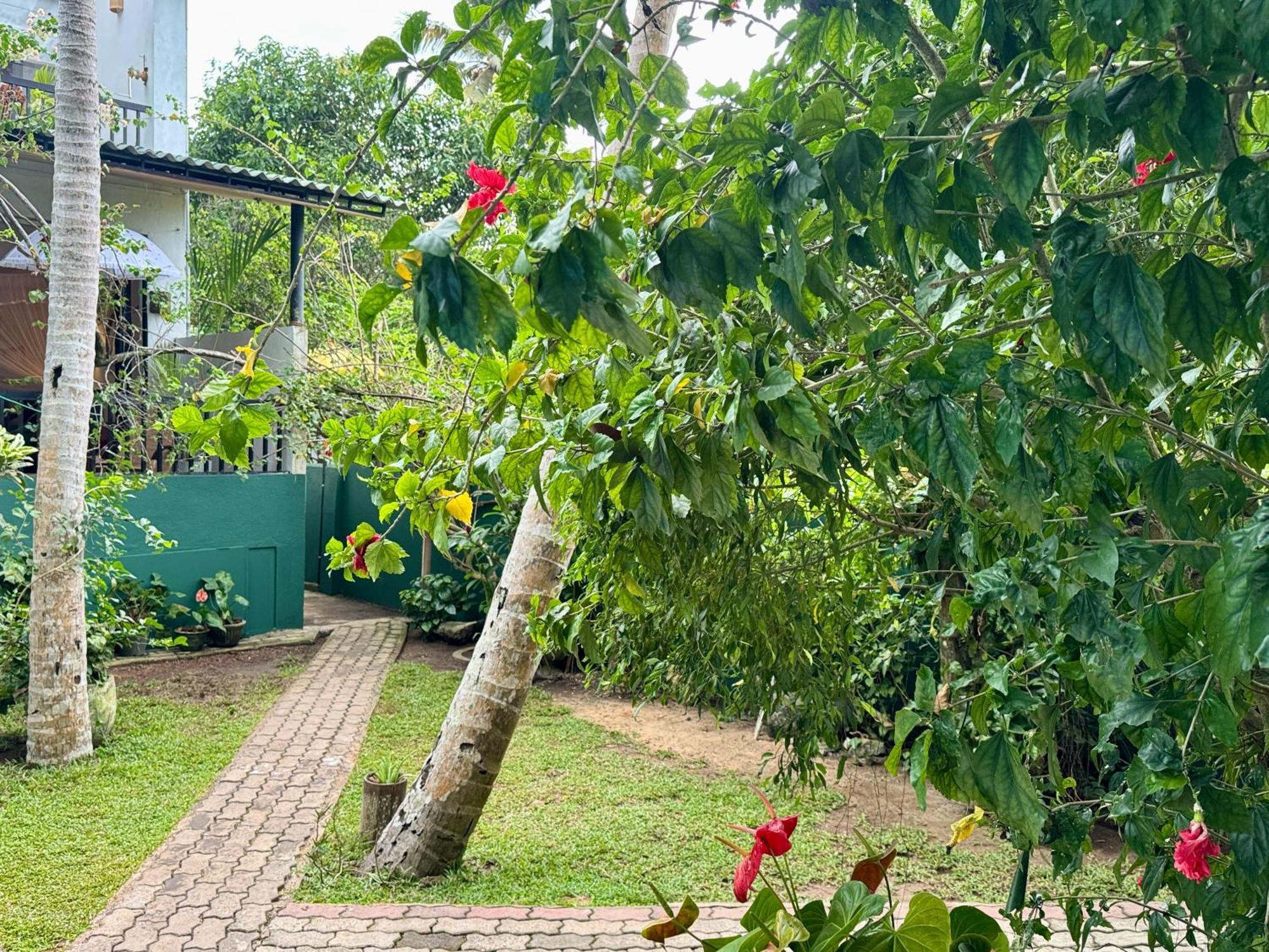 Swastha Ayurveda Villa Hikkaduwa Ngoại thất bức ảnh
